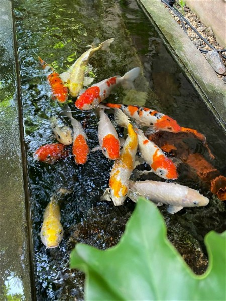 Đi đến slide 2