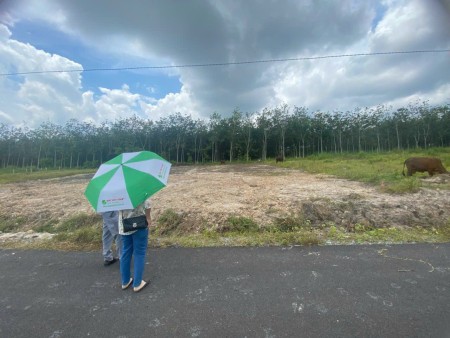 Bán đất chính chủ cần tiền nên bán nhanh lô đất nằm sát Khu Dân Cư Đại Nam