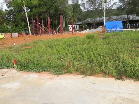 Bán đất vườn DT 2000m², giá chỉ 290 triệu