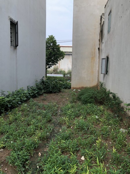 Bán đất Vĩnh Hưng, phân lô ô tô đỗ cửa, vào nhà, tiện ích bạt ngàn 70m², giá 8,6 tỷ