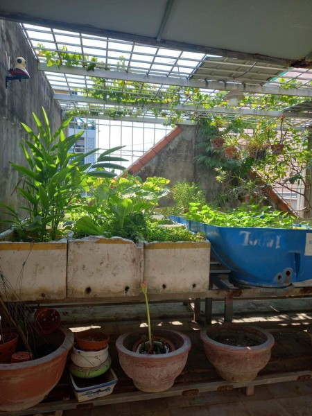 Bán nhà mặt tiền Lê Tấn Trung, Sơn Trà