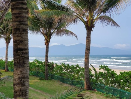 Đi đến slide 15