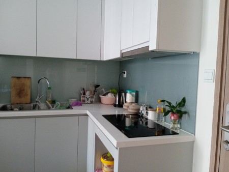 Chính chủ gửi bán căn hộ 1pn+ toàn S205 dự án Vinhomes Smart City, tầng trung hướng mát