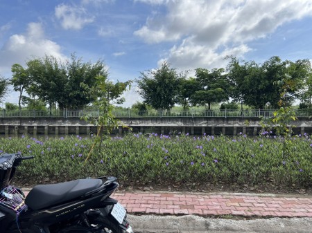 Đi đến slide 7