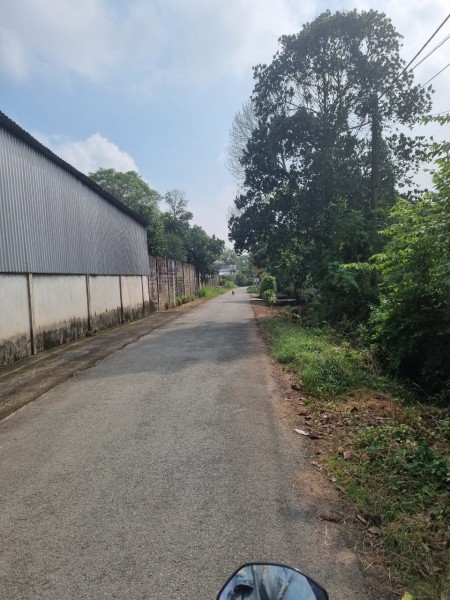 Đi đến slide 7
