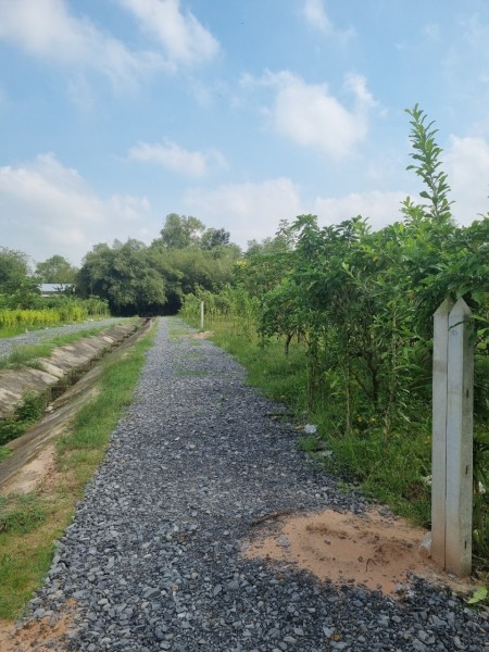 Đi đến slide 8