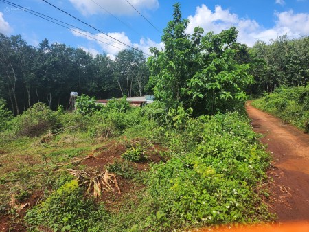 Bán đất chính chủ rộng 1000m2, 20x50m, đường bê tông, dân cư đông đường thông giá 450 triệu