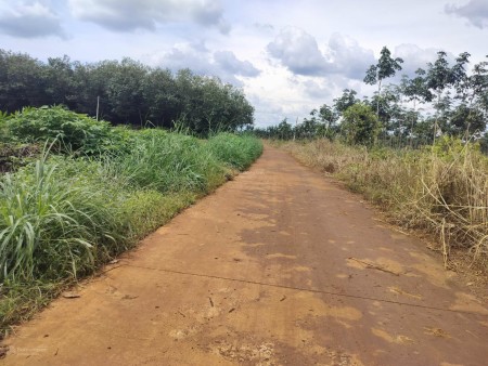 Chính Chủ bán 5x40m NH Lộc Quang Lộc Ninh - Sẵn 100m2 thổ cư - Giá chỉ 180 triệu - Sát DT756