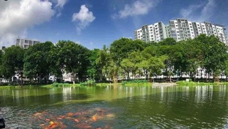 Đi đến slide 3
