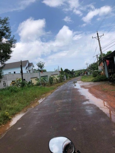 Chú Hà sang gấp mảnh đất thổ vườn 1000m2 Bình Dương cần tiền nên bán giá ngộp.
