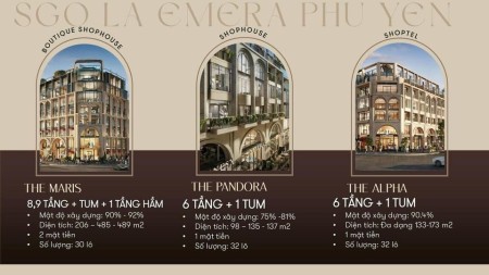 Mở bán giỏ hàng siêu vip - chỉ 05 suất ngoại giao.