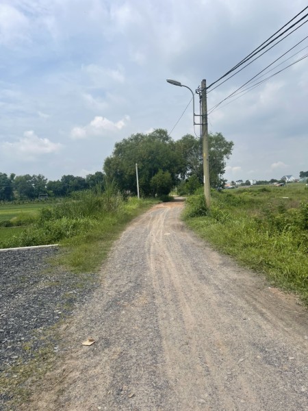 Đi đến slide 7