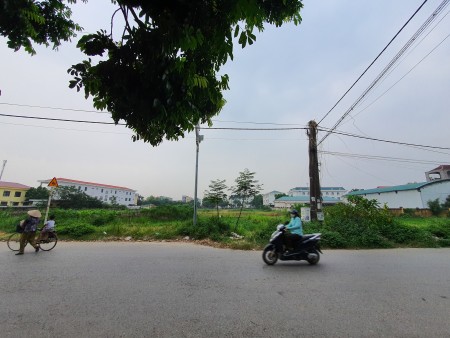 Chính chủ bán gấp 317m2 đất thổ cư 2 mặt tiền trung tâm Hợp Hòa Tam Dương Vĩnh Phúc