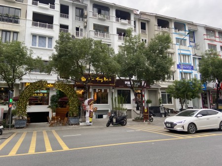 Chính chủ bán căn BTSL 206m2 MT 11m trên trục thông Vin Smart 25m giá 65 tỷ. LH: 0862265595