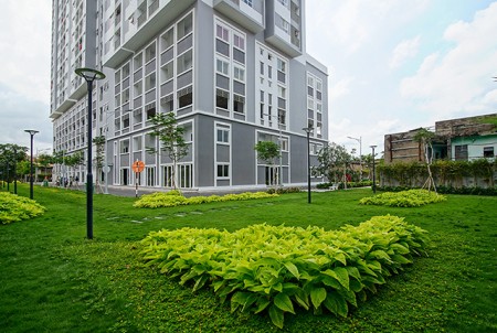 Đi đến slide 6