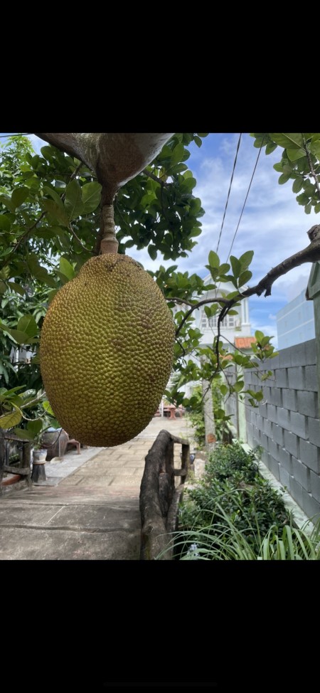 Đi đến slide 11