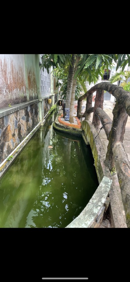 Đi đến slide 10
