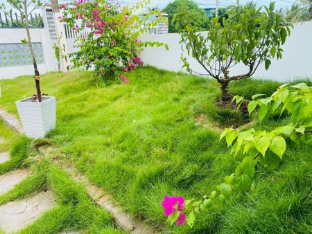 le thanh thuan