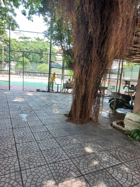 Đi đến slide 3