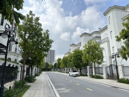 Chính chủ gửi bán Biệt Thự Đơn Lập Ngọc Trai 11 diện tích 288m2 giá tốt nhất Vinhomes Ocean Park