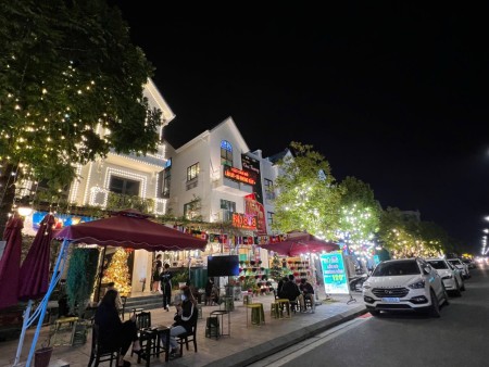 Biệt thự Song Lập Shophouse Sổ Lâu Dài San Hô 6-11x- Vinhomes Ocean Park Gia Lâm giá 35 tỷ