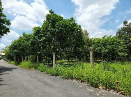 bán đất vườn, sổ sẵn, đường nhựa 10m, đầy đủ tiện ích