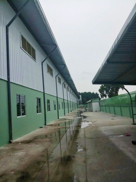 Cho thuê kho xưởng sản xuất tại Thuận An, Bình Dương