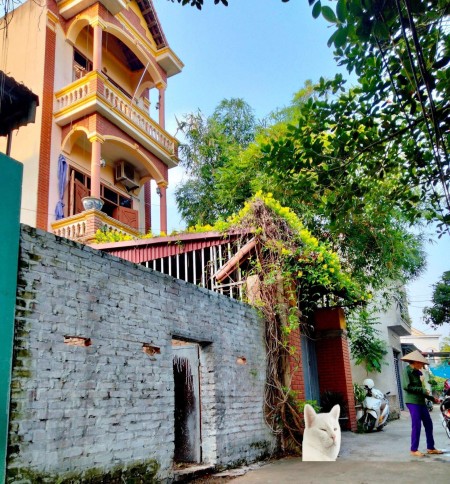 Cực hiếm! Bán lô đất vùng ven đô 88m2 Hà Nội/Sóc Sơn, full thổ cư, đường ô tô xq. LH 090.232.5568