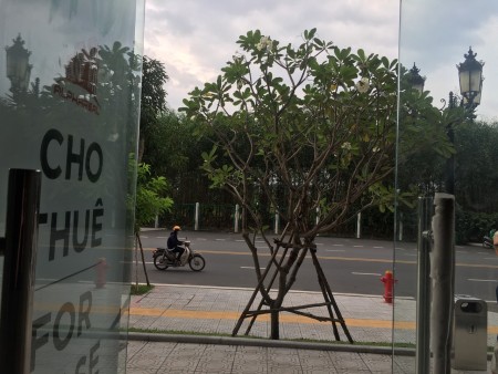 Đi đến slide 3