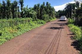 Chính chủ cần bán gấp lô đất giá ngộp ở trục đường chính Bà Rịa - Châu Pha
