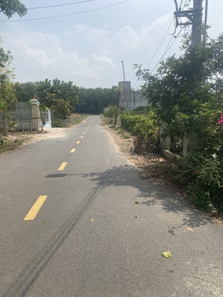 Bán vườn bưởi 350 triệu/1000m2