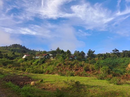 Chính chủ cần bán đất Măng Đen - Kon Tum