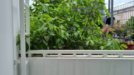 Đi đến slide 6