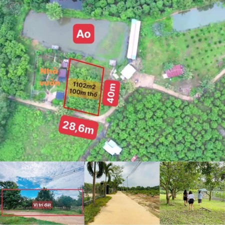 Cắt lỗ 1100m2 sẵn 100m2 thổ cư, vườn xoài xã La Ngà, ngay cạnh UND, đường 101 Nam Lộ, *1,7 tỷ/ TL