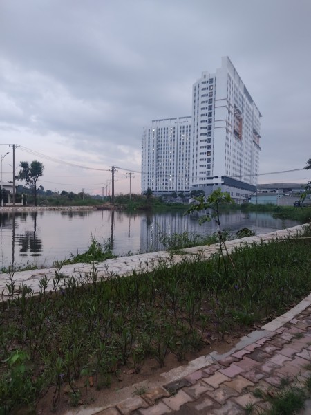 Kẹt tiền quá tôi cần bán gấp lô đất 220m² đối diện sông Sài Gòn, khu dân cư đông