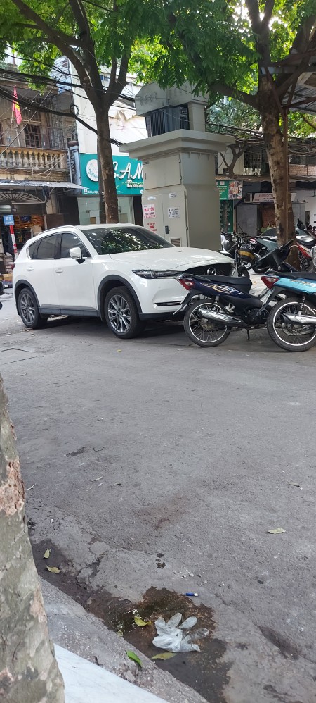 Bán nhà đẹp Tam Trinh phân lô, ô tô tránh, vỉ hè kinh doanh, Phun Nội Thất, DT50m, chào 8.7 tỷ.