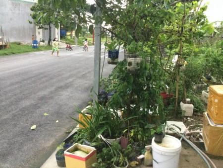 Đi đến slide 5