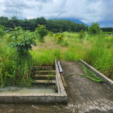 Đi đến slide 8