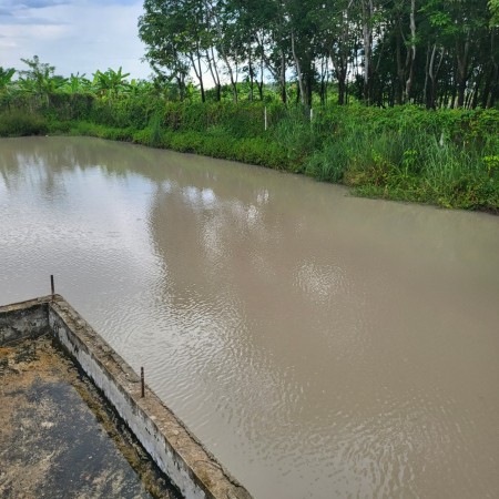 Đi đến slide 7
