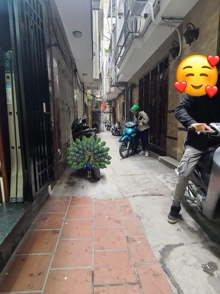 Bạch mai - Hai Bà Trưng. Nhỉnh 4 tỷ có ngay nhà 40m2, 5 tầng, MT 3,8m