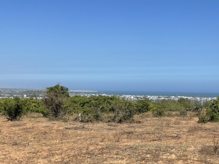 Trời ơi! Sao lại có lô đất view biển đẹp mà rẻ như vậy? 3000m2 mà chỉ có 790 tr