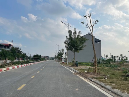 Khu đô thị Đức Giang, Yên Dũng - Sổ đỏ trao tay nhận ngay ưu đãi!