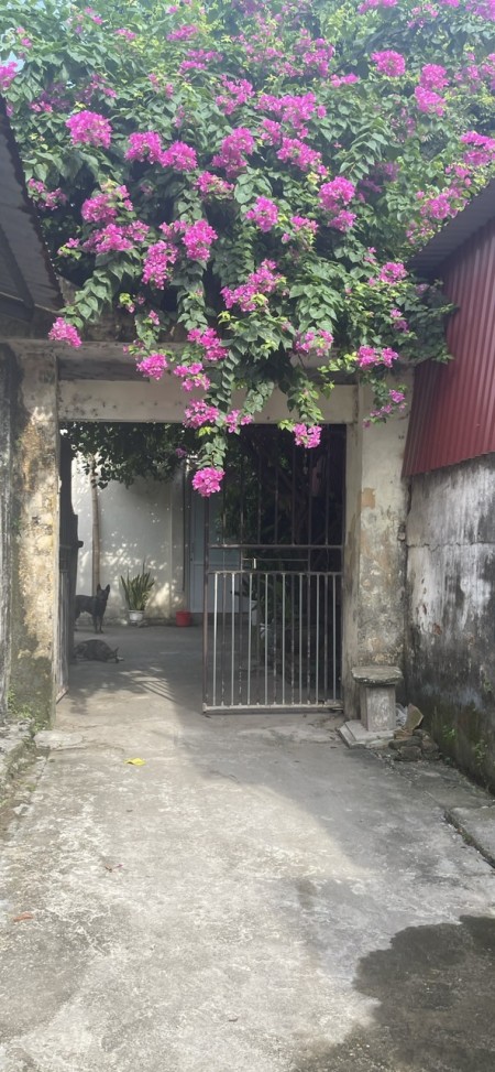 Chính chủ cần bán mảnh đất 82m2, tại thôn Ngô Xuyên, tt. Như Quỳnh