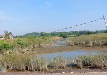 Chủ kẹt tiền cần bán gấp lô đất tọa lạc tại xã An Thới Đông Cần Giờ