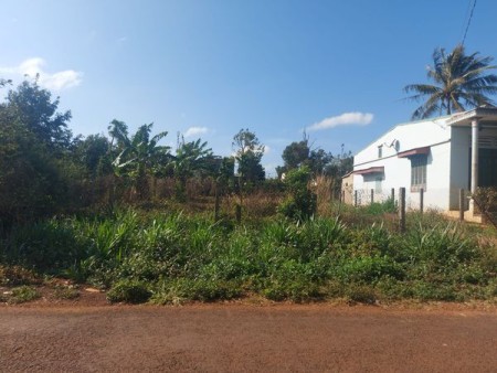 Đất thổ vườn 1000m²Bình Dương giá chỉ 589 triệu. Lh: 0901196632