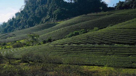 Đi đến slide 3