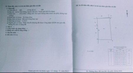 Cần bán gấp 2016m2 tại xã An Thới Đông, huyện Cần Giờ giá 1,1tr/m2