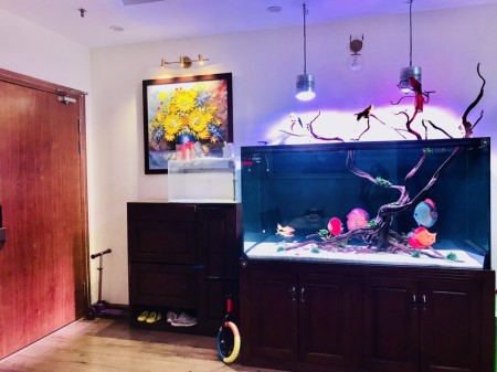 Bán Căn hộ chung cư Goldsilk Conplex