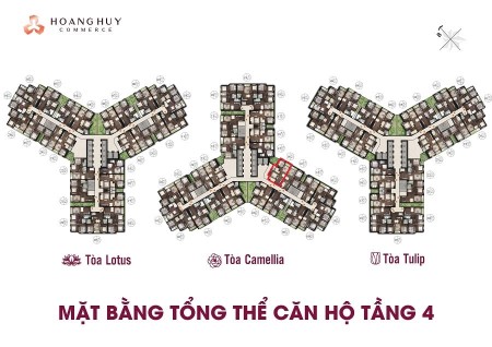 Đi đến slide 6