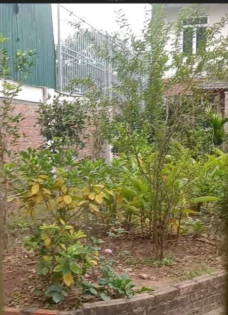 Chủ bán nhà phố An Dương -Tây Hồ, ngõ thoáng, sân riêng, tiện ích ngập tràn, 55m2, 2.8 tỷ